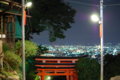 [伏見稲荷大社][伏見稲荷][山][神社][夜]