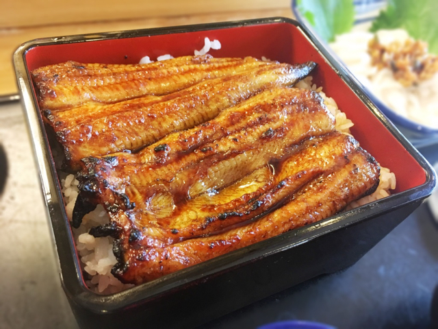 イメージ 7