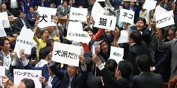 イメージ 6