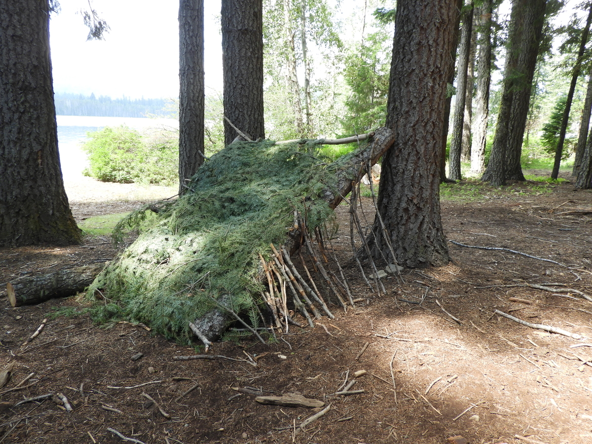 オレゴンから、Hi♪