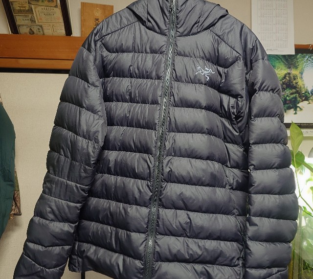 アークテリクス　ソリウムar アークテリクス ARCTERYX Thorium AR Hoody Mens Black ソリウム