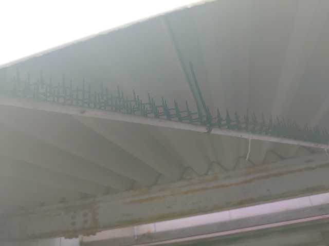 f:id:orekurogare:20260502222348j:image
