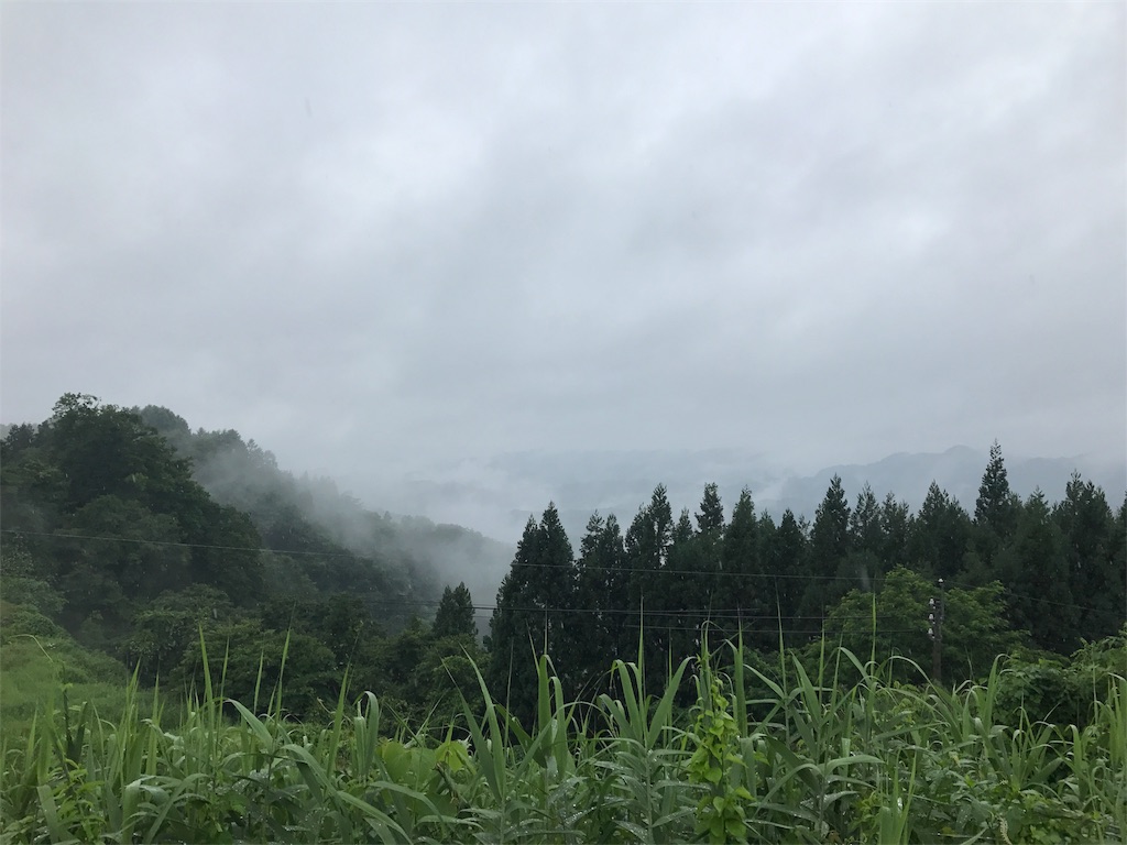 f:id:oremappy:20170801021340j:image f:id:oremappy:20170801021340j:image