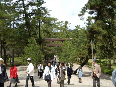 f:id:orenade:20090320123245j:image:w142