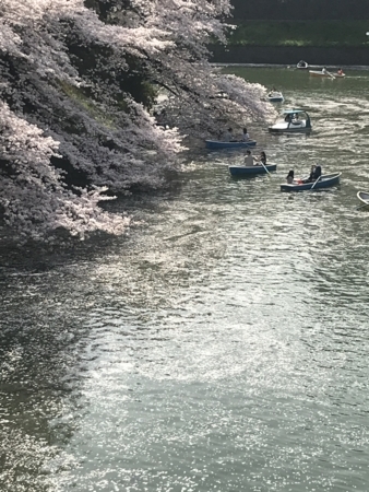 2018年3月、北の丸公園のお濠