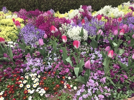 f:id:orenade:20190330123514j:plain f:id:orenade:20190330123514j:plain