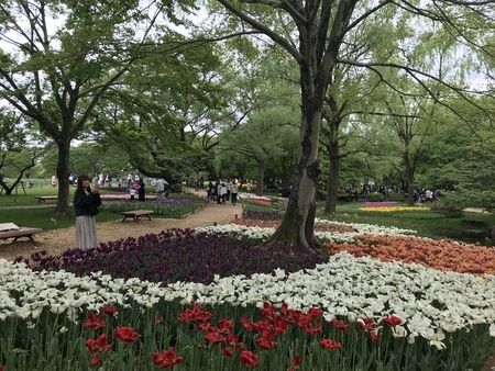 f:id:orenade:20190429154645j:plain f:id:orenade:20190429154645j:plain