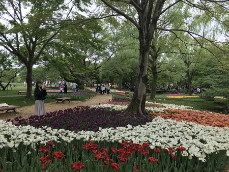 2019/04/29、昭和記念公園