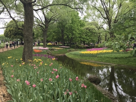 f:id:orenade:20190429154713j:plain f:id:orenade:20190429154713j:plain