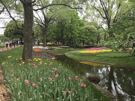 2019/04/29、昭和記念公園