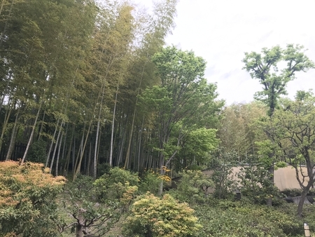 2019/04/29、昭和記念公園