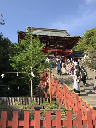 2019/05/03、鎌倉・富岡八幡宮
