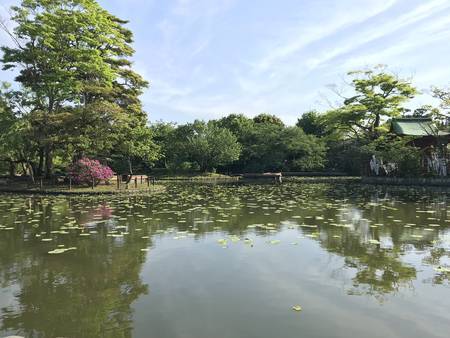 2019/05/03、鎌倉・富岡八幡宮