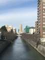 [趣味]2019/12/15、目黒川