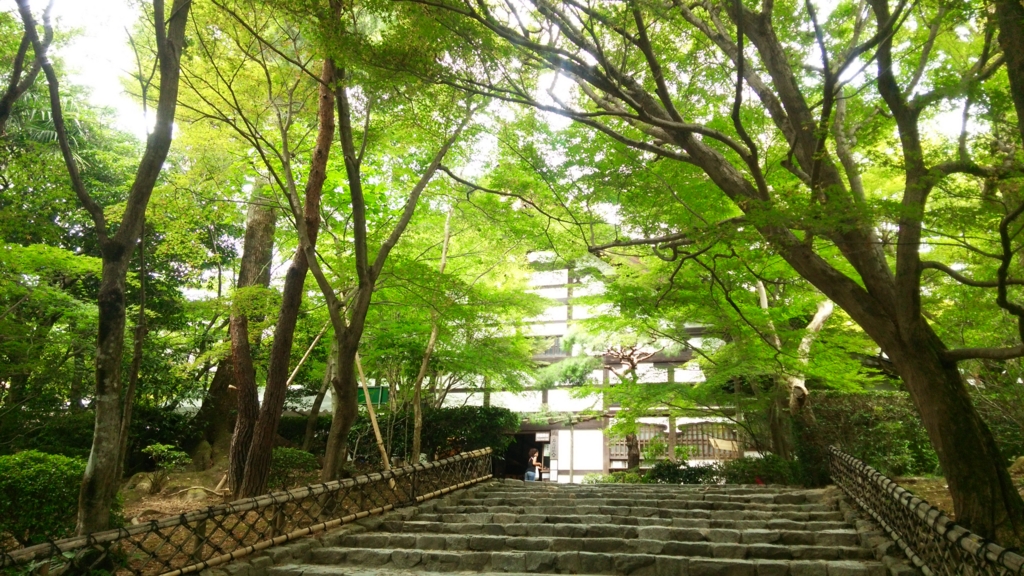 f:id:oreninoh:20160819224039j:plain