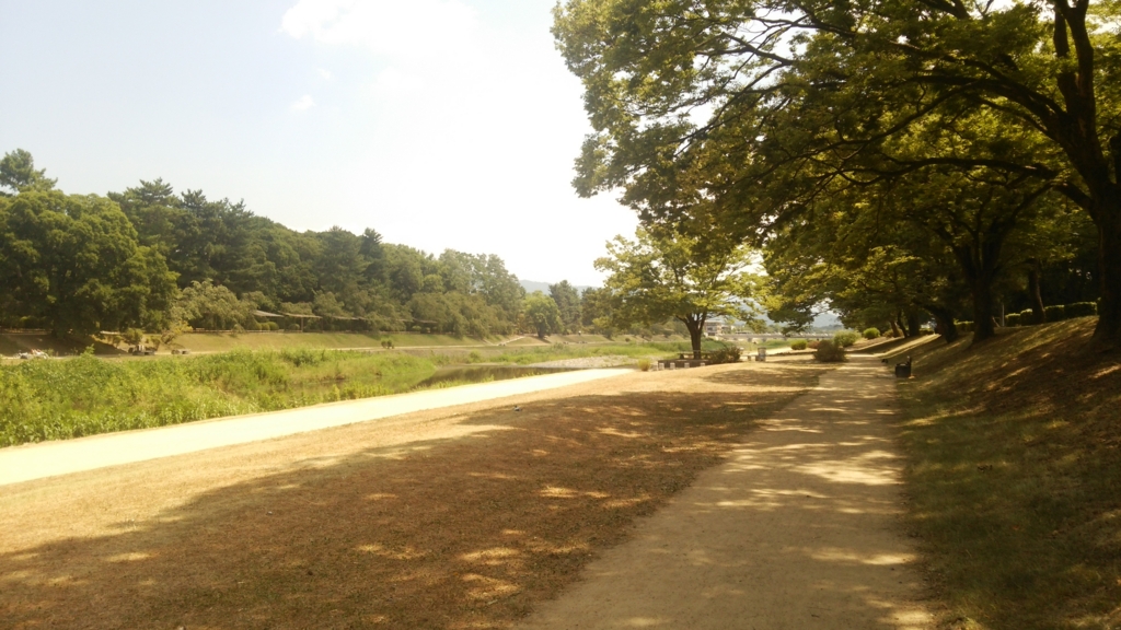 f:id:oreninoh:20160819232539j:plain