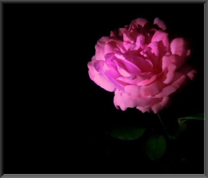 f:id:orenzi8:20101022202605j:image