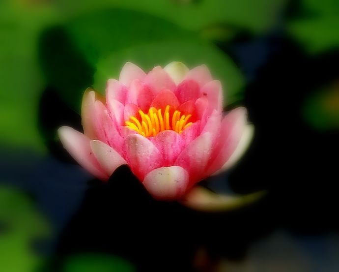 f:id:orenzi8:20110529123835j:image