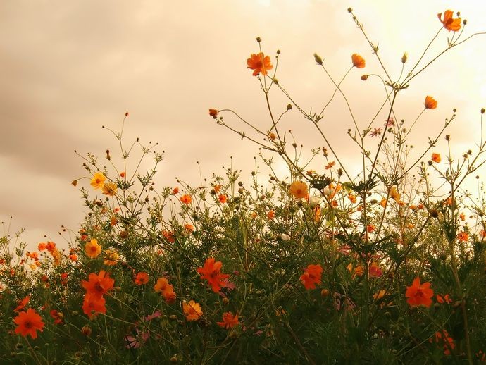 f:id:orenzi8:20110919081644j:image