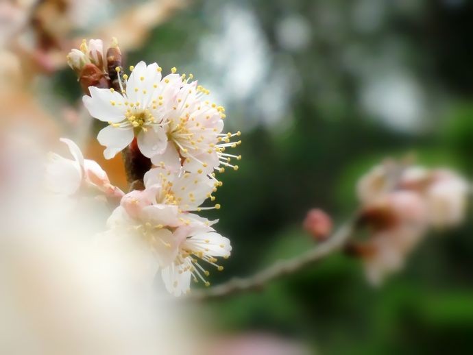 f:id:orenzi8:20120319051618j:image