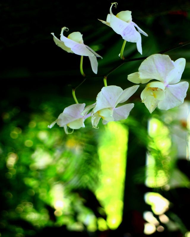f:id:orenzi8:20130902205553j:image