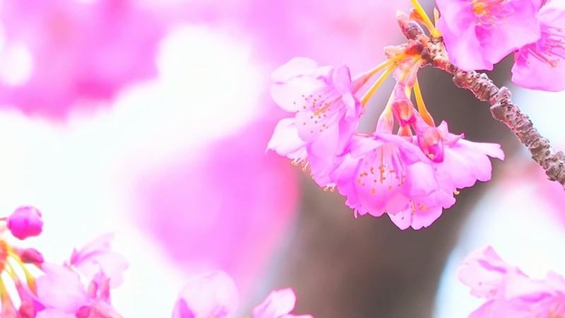 f:id:orenzi8:20220130154256j:plain