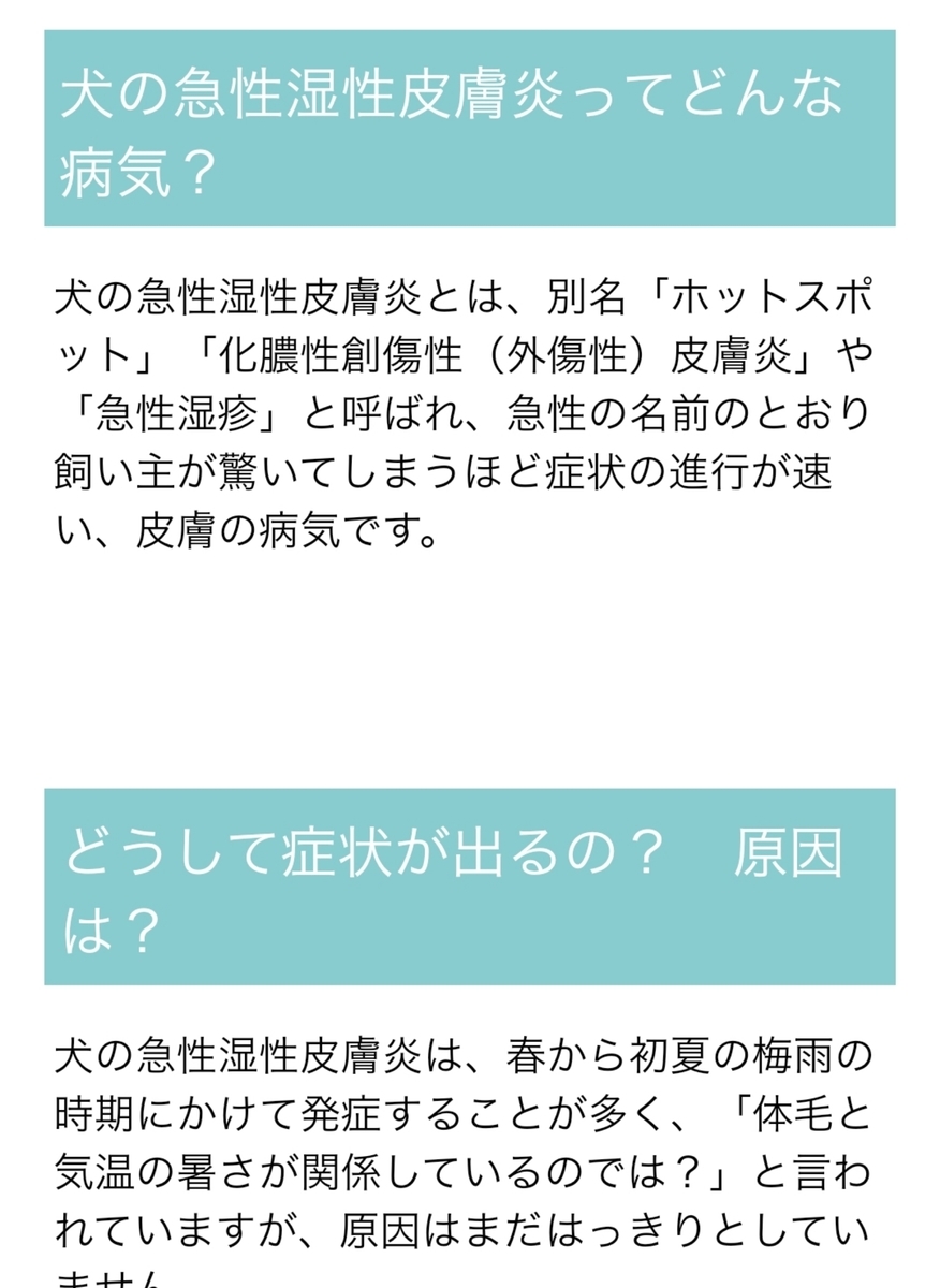 f:id:orfe_lila:20200704001237j:plain f:id:orfe_lila:20200704001237j:plain