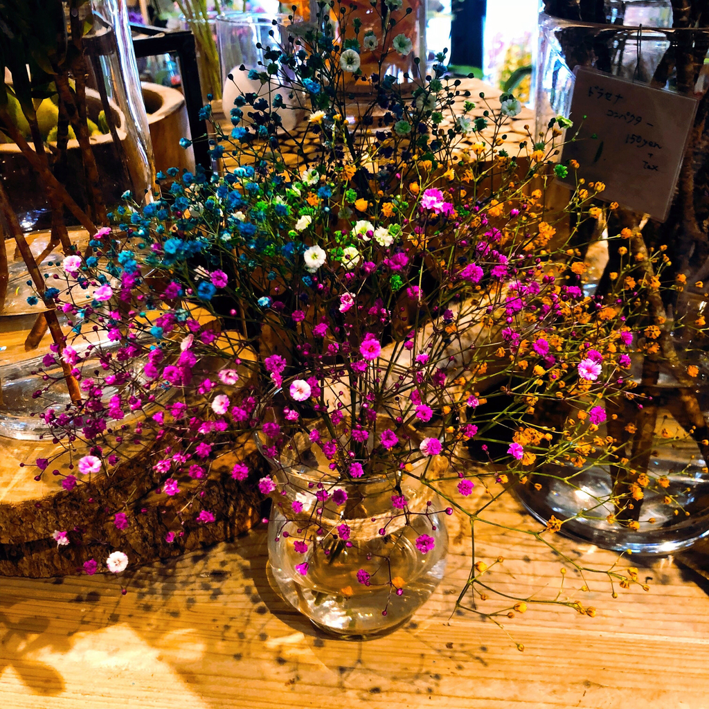 f:id:organicEB:20190123233912j:plain