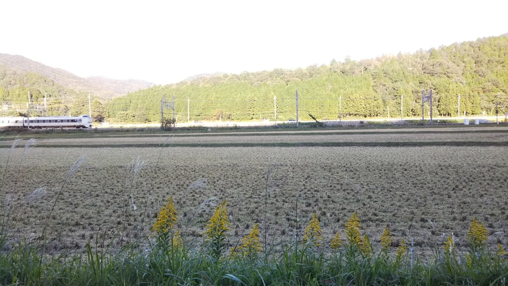 f:id:organiccrossing:20181023041918j:plain