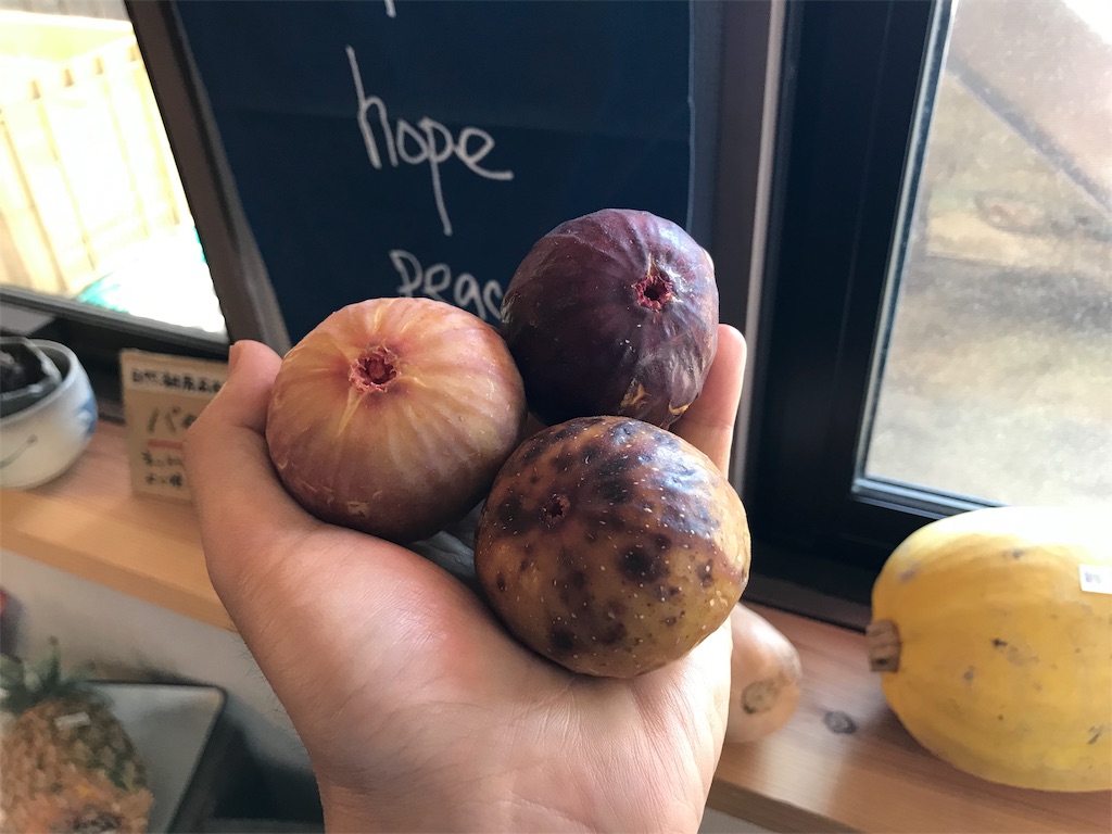 f:id:organiccrossing:20190914123711j:image f:id:organiccrossing:20190914123711j:image