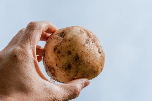 f:id:organicecolojy:20191024005801j:plain