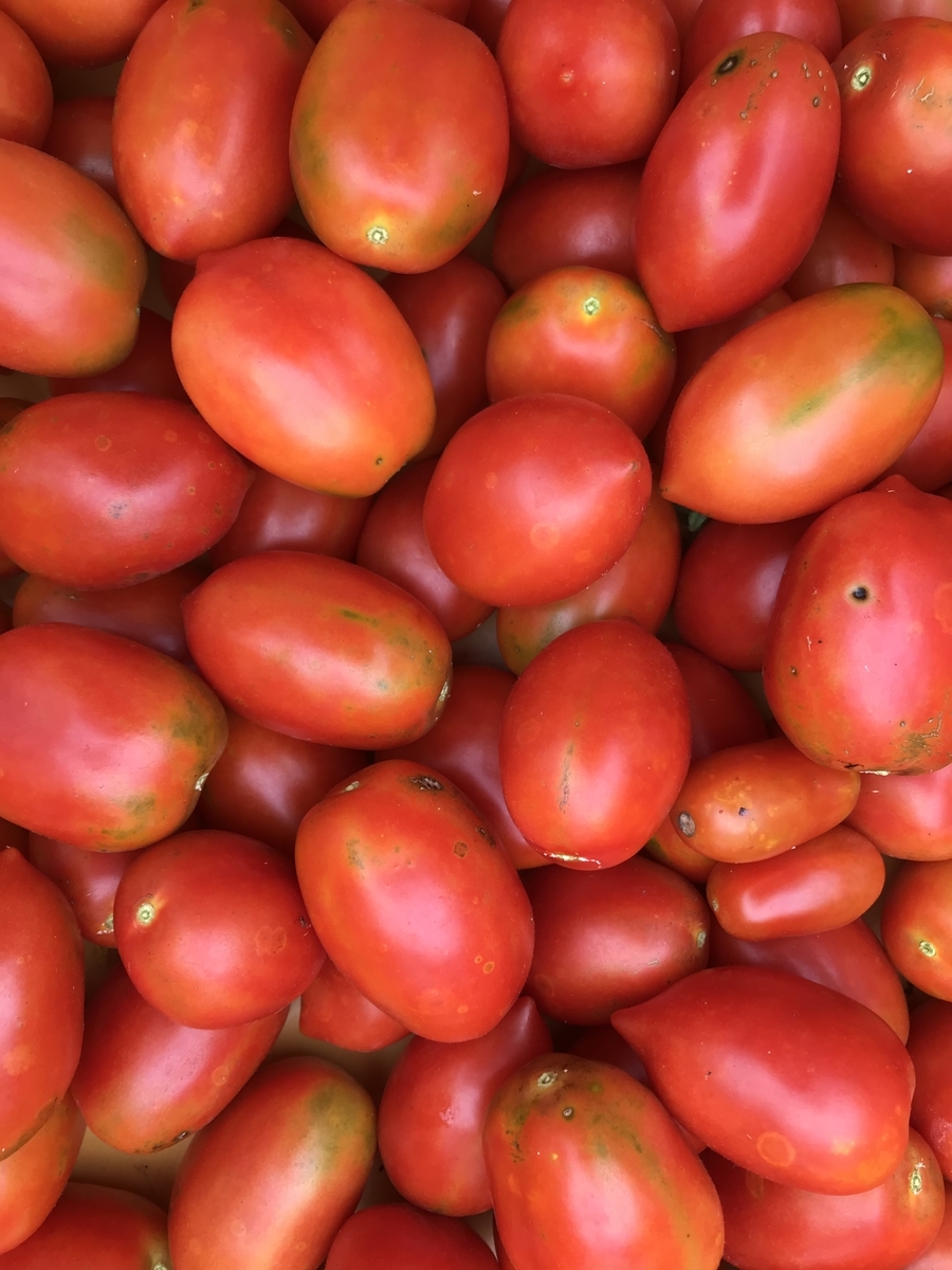 f:id:organicfarm:20190823130615j:plain