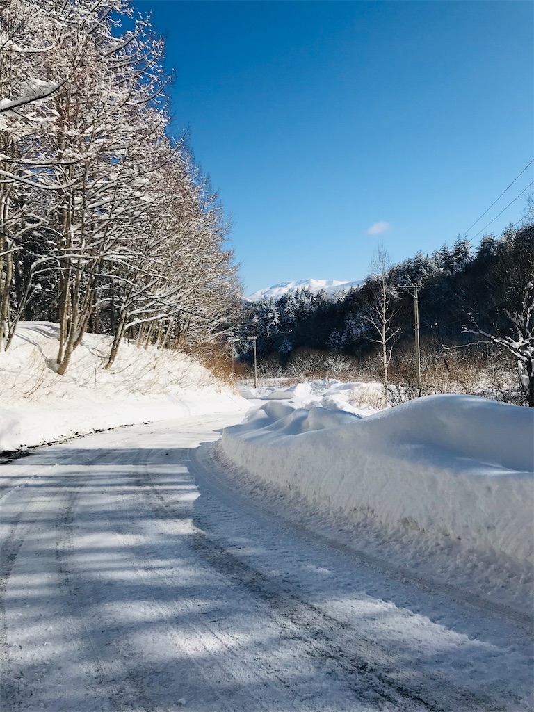 f:id:organicfarm:20200211152108j:image