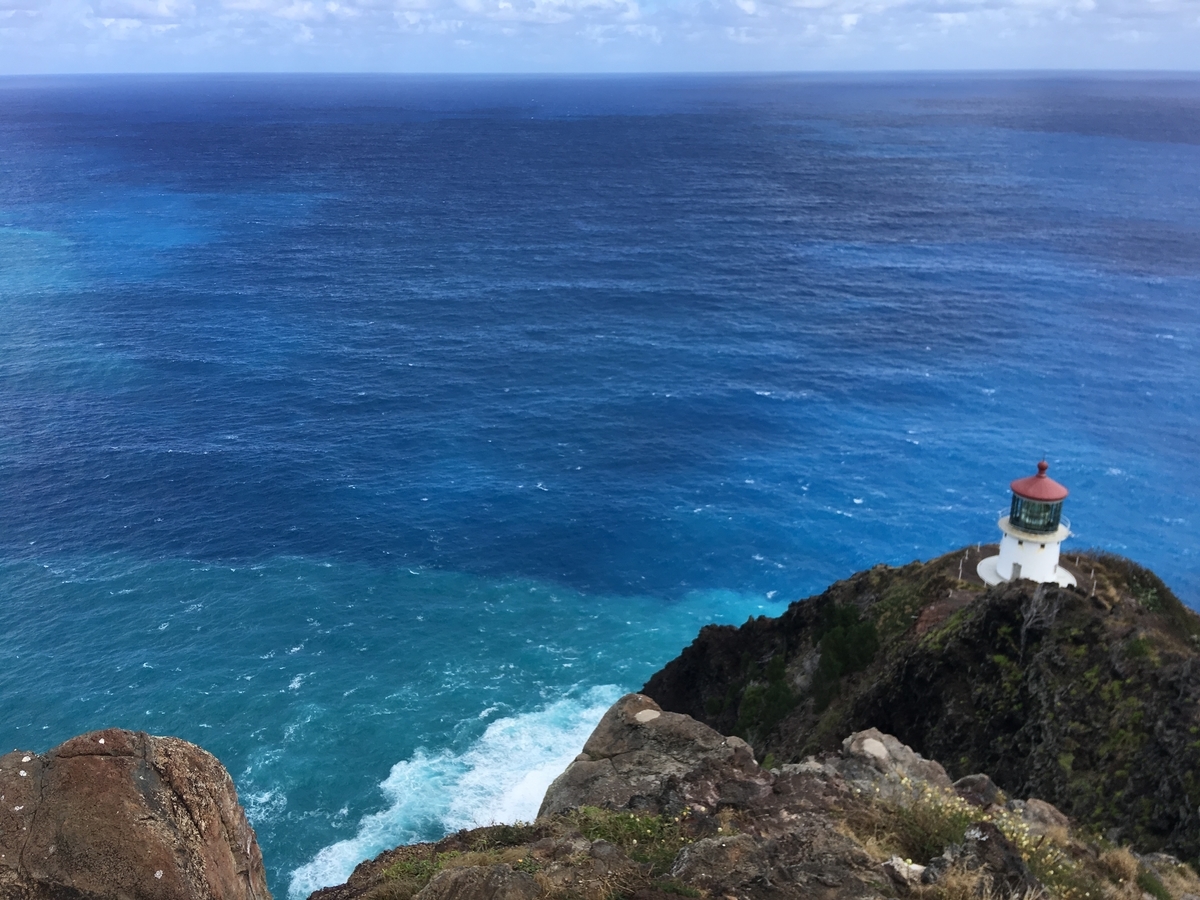 f:id:organichawaii:20200414120352j:plain