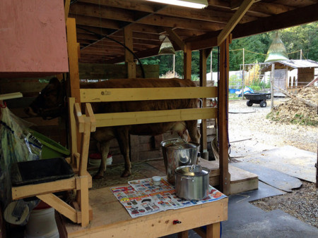 f:id:organicnatto:20140820020836j:image f:id:organicnatto:20140820020836j:image