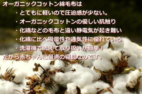 f:id:orgazen:20171025113327j:plain