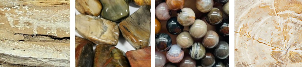 ペトリファイドウッド/Petrifiedwood(和名:珪化木/けいか ペトリファイドウッド/Petrifiedwood(和名:珪化木/けいか