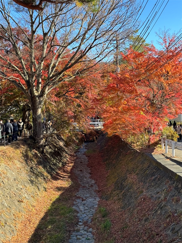 f:id:oriakichi:20231120205109j:image