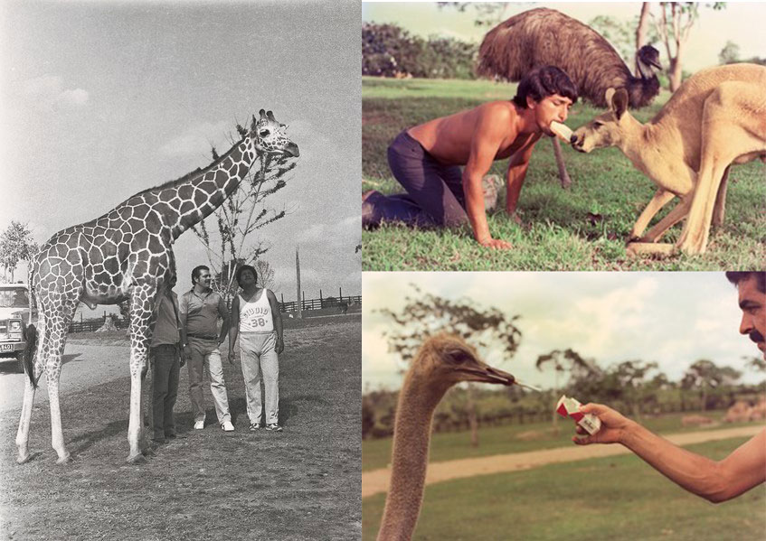 f:id:oriana-van-beem:20190215191435j:plain