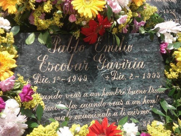 f:id:oriana-van-beem:20190215192259j:plain