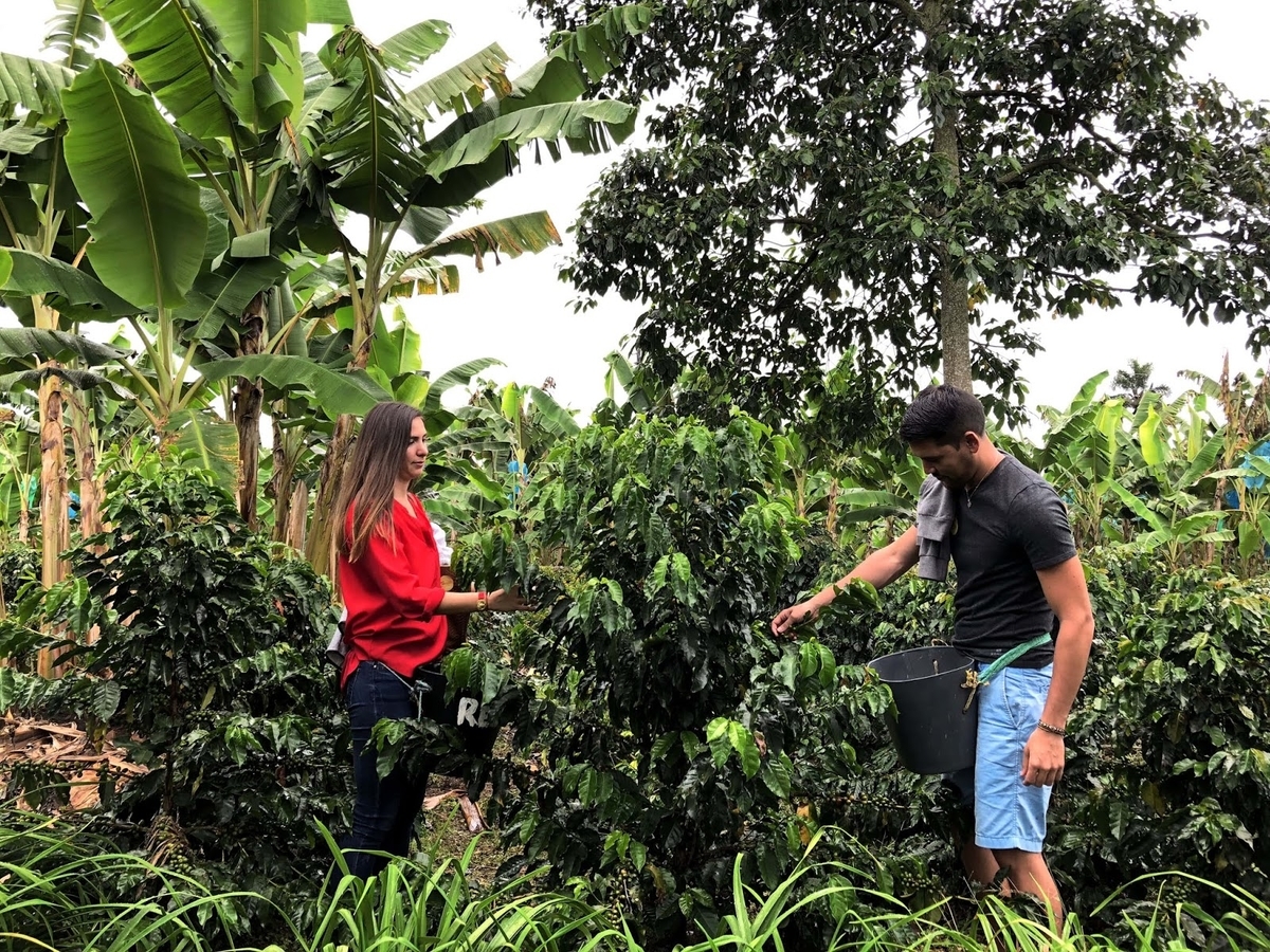 f:id:oriana-van-beem:20190828205726j:plain f:id:oriana-van-beem:20190828205726j:plain