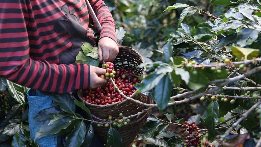 f:id:oriana-van-beem:20200319140502j:plain