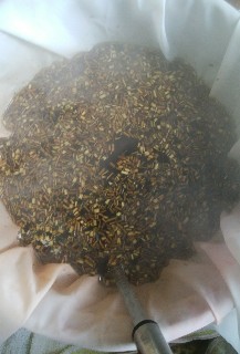 f:id:oribiyori:20191211120919j:image f:id:oribiyori:20191211120919j:image