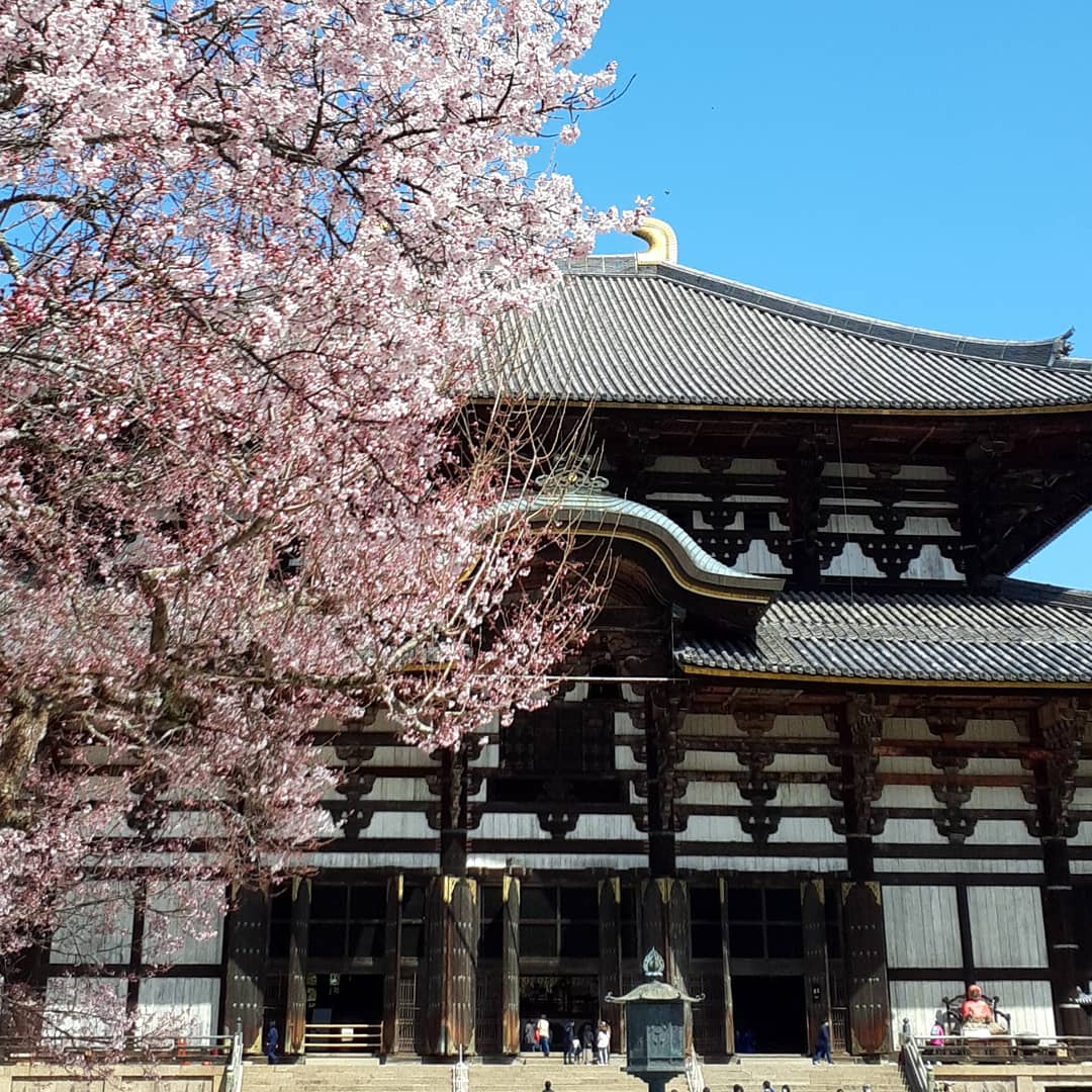 f:id:oribiyori:20210324210601j:plain