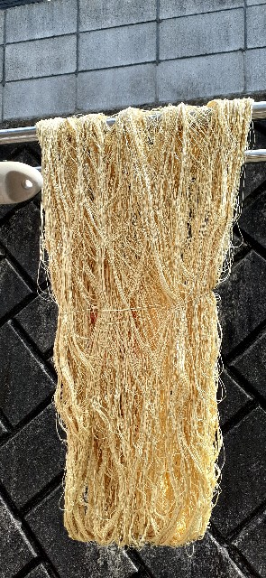 f:id:oribiyori:20210412194251j:image