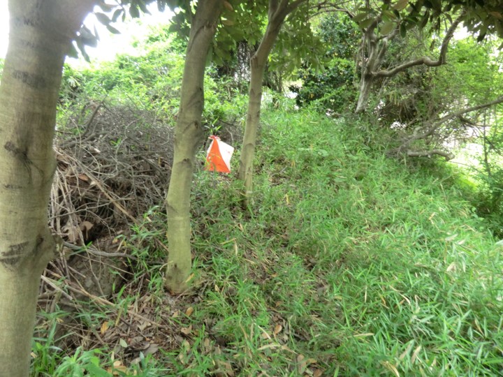 f:id:orienadvent:20171201103758j:plain