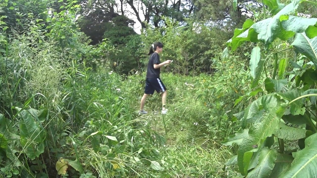 f:id:orienadvent:20171201104001j:plain