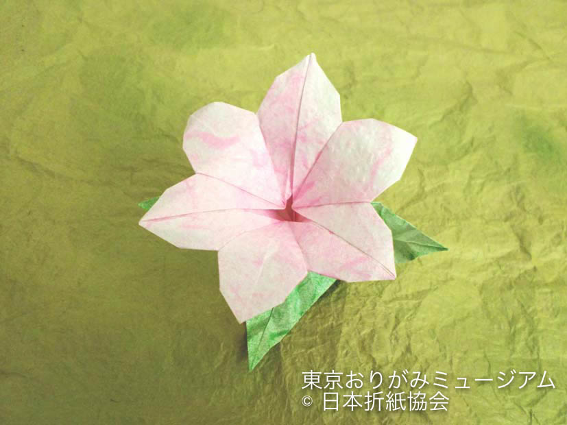 f:id:origami-noa:20170131144542j:plain f:id:origami-noa:20170131144542j:plain