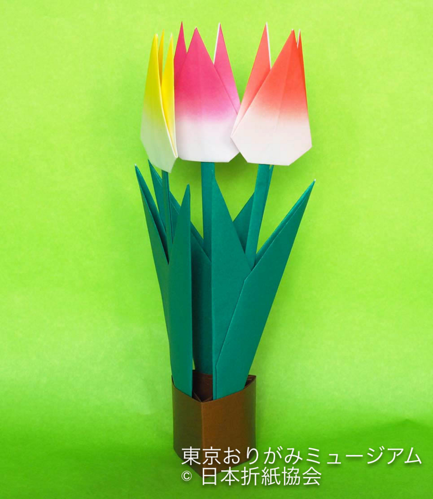 f:id:origami-noa:20170131150243j:plain f:id:origami-noa:20170131150243j:plain