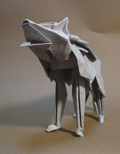 新作 オオカミ Fold Unfold